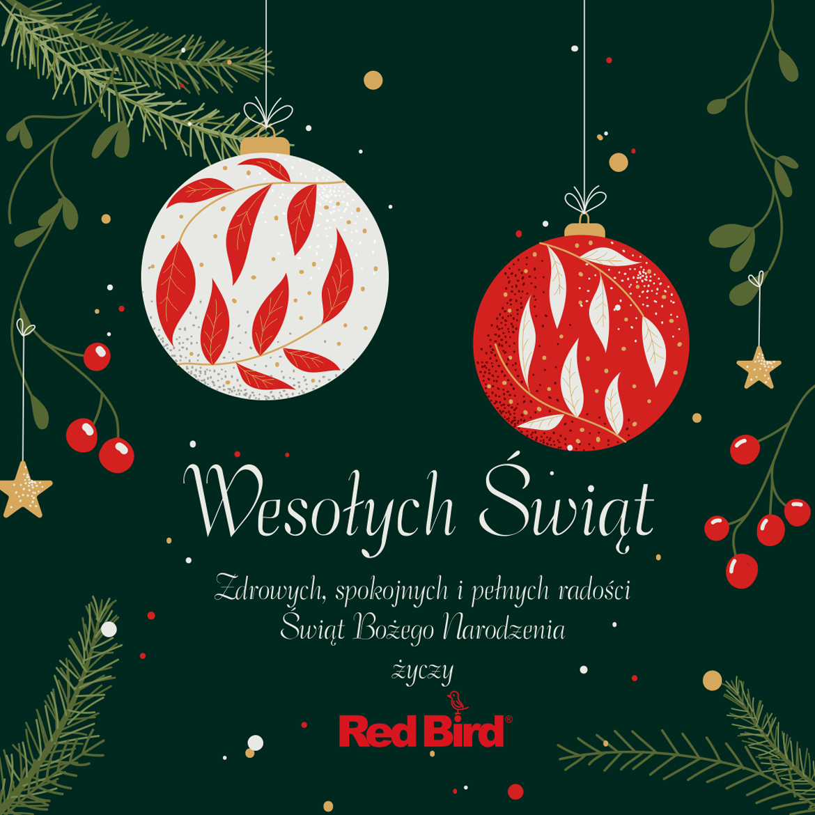 Red Bird życzy spokojnych, rodzinnych Świąt Bożego Narodzenia oraz pełnego sukcesów, zdrowia i dobrej energii Nowego Roku.