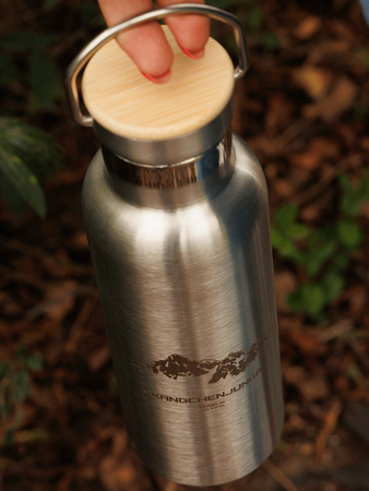 Dr.Bacty Iris stainless steel thermal bottle - silver - Makalu