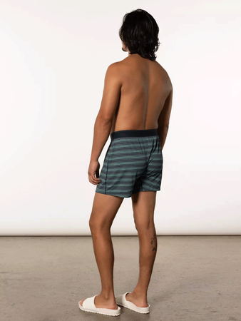 Men's trekking / sports boxers with the Saxx Quest Boxer Brief Fly-Blue stripes