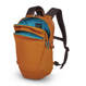 Anti-theft urban backpack 18l Pacsafe ECO Econyl® - orange