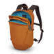 Wasserdichter, diebstahlsicherer Rucksack 18l Pacsafe ECO CX Econyl® - orange