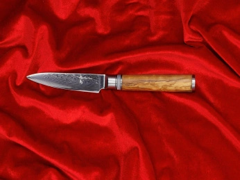 Aka Tori Engraved Damascus Steel 3.5" Paring Knife - Kyoto Olive