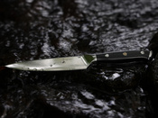 Exklusives Aka Tori Osaka Pro 5" Allzweckmesser aus Damaszener Stahl – Business-Geschenk mit Gravuroption