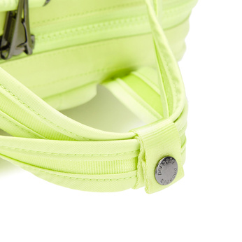 Pacsafe Citysafe CX Econyl Anti-Diebstahl-Rucksack für Frauen - lindgrün