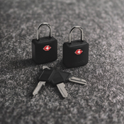 Luggage padlock with TSA Pacsafe Prosafe 620 system - 2 pcs. - black