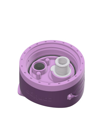 Thermoflasche Contigo Ashland 2.0 Chill 720 ml - Violet