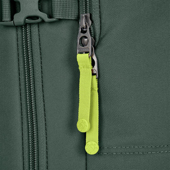 Pacsafe Go 34 l Anti-Diebstahl-Kabinenrucksack - Grün