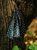 Multifunktionaler Schal Dr. Bacty Polka Punkte schwarz