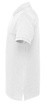 Herren Polo-Shirt Parkes D.A.D - Türkis