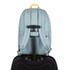 Anti-theft urban backpack Pacsafe Go 25 l - mint