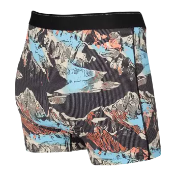 Bokserki męskie trekkingowe / sportowe z rozporkiem SAXX QUEST Boxer Brief Fly górski krajobraz – czarne